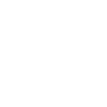 SSL certificate at hylobiz